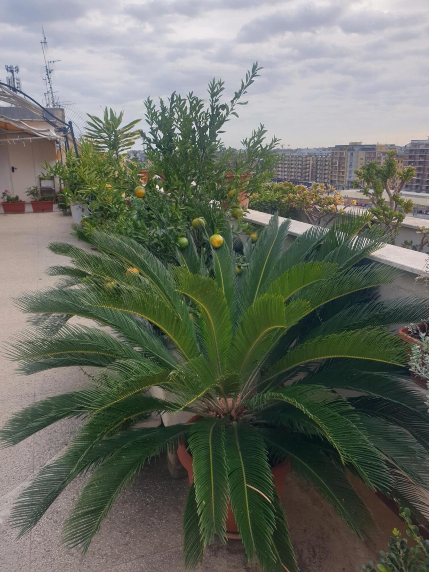 B&B Ganaj La Terrazza Di Ganaj 바리 외부 사진