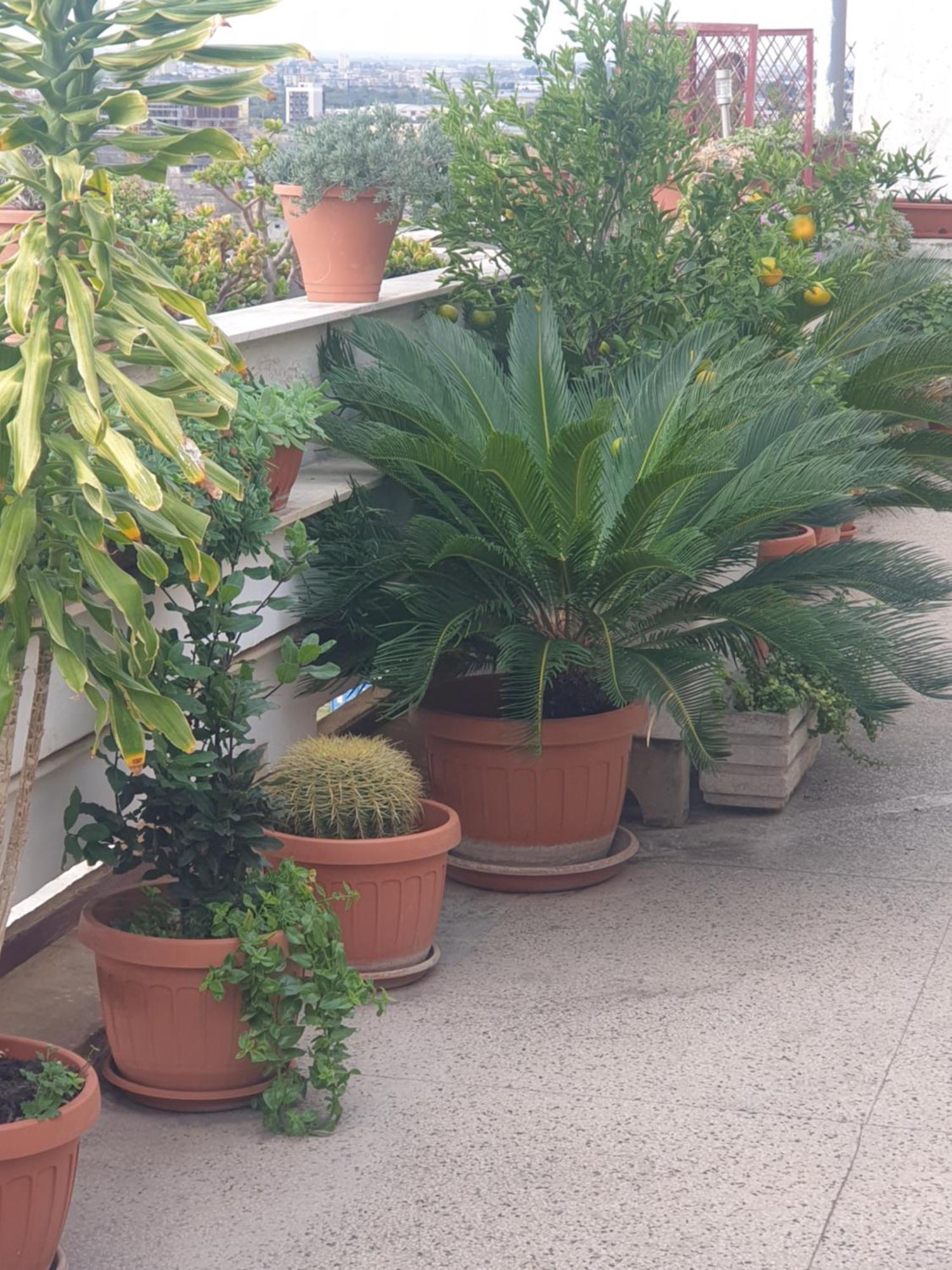 B&B Ganaj La Terrazza Di Ganaj 바리 외부 사진